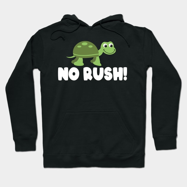 No Rush Turtle Hoodie by Foxxy Merch